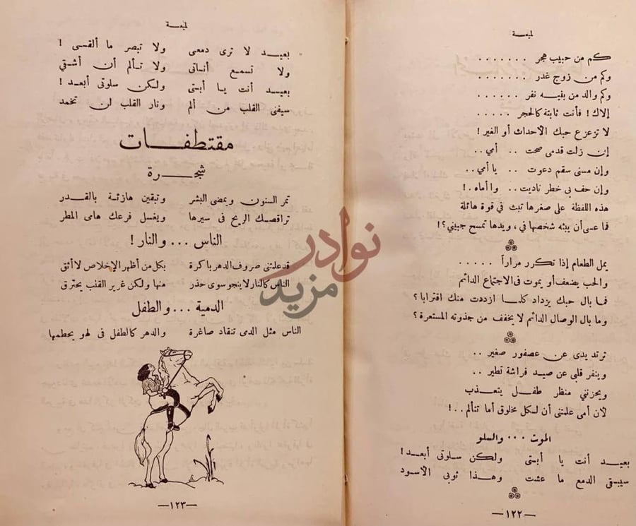 صفحة داخلية كتاب ادب المراة العراقية مقتطفات
