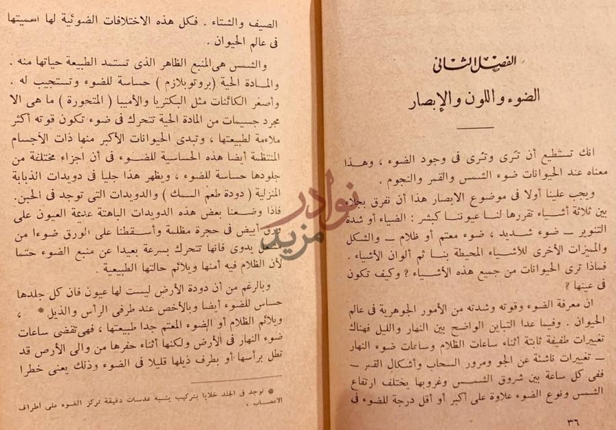 فصل كتاب استخفاء الحيوان الضوء واللون