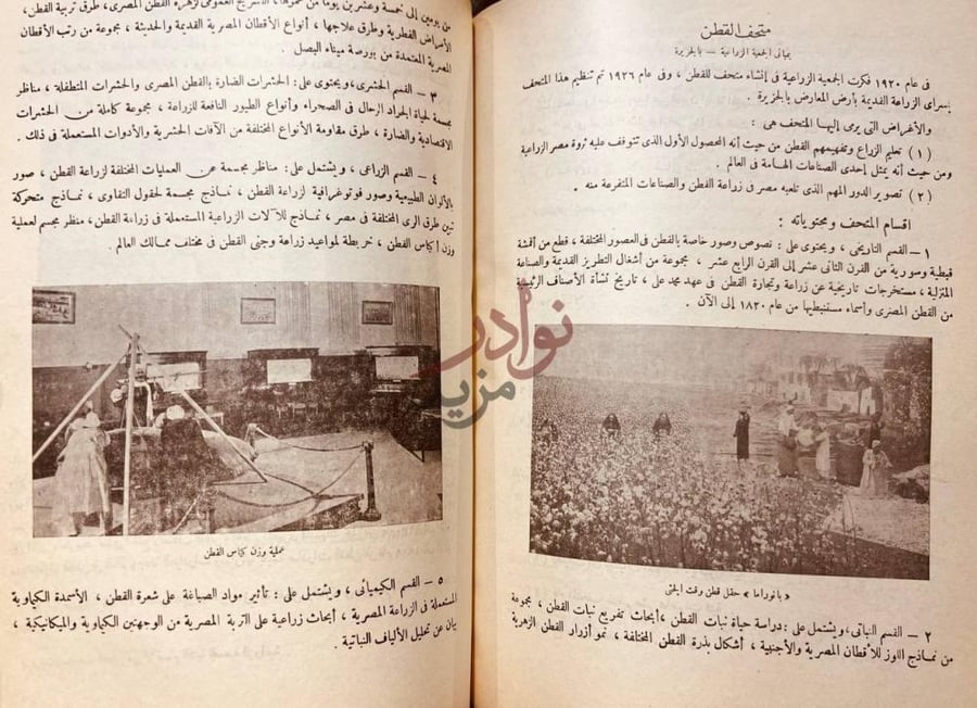 صفحة داخلية كتاب السجل الثقافي سنة وسنة وسنة
