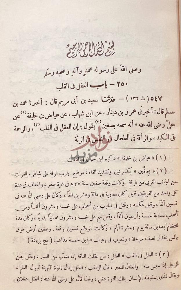 صفحة داخلية كتاب فضل الله الصمد في توضيح الادب المفرد البخاري
