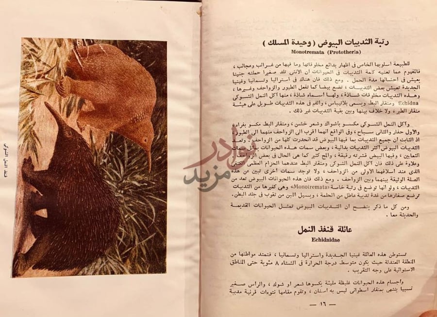 صفحة داخلية كتاب اطلس ثديات العالم رتبة الثدييات البيوض