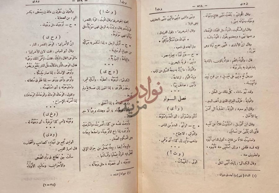 صفحة داخلية كتاب التكملة والذيل والصلة فصل الواو