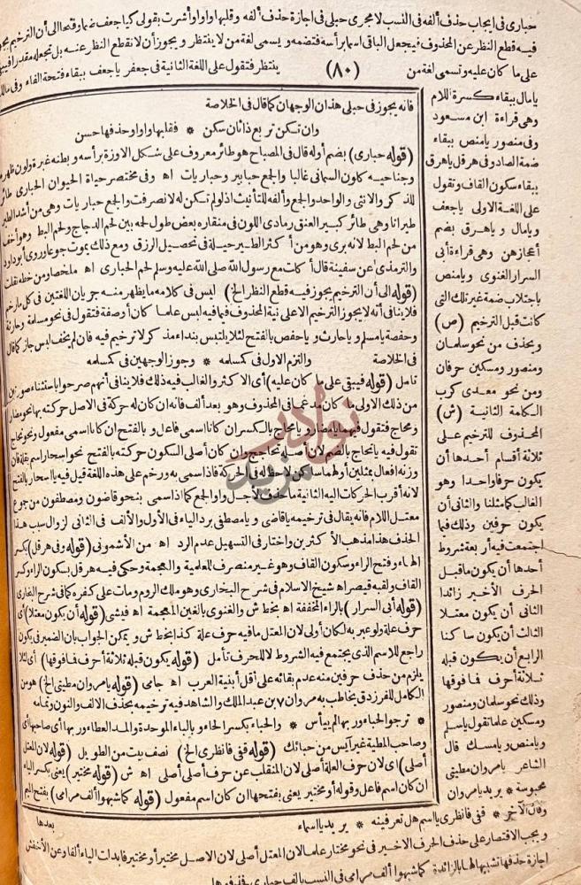 صفحة داخلية كتاب حاشية العدوي استمرار الشرح النحوي