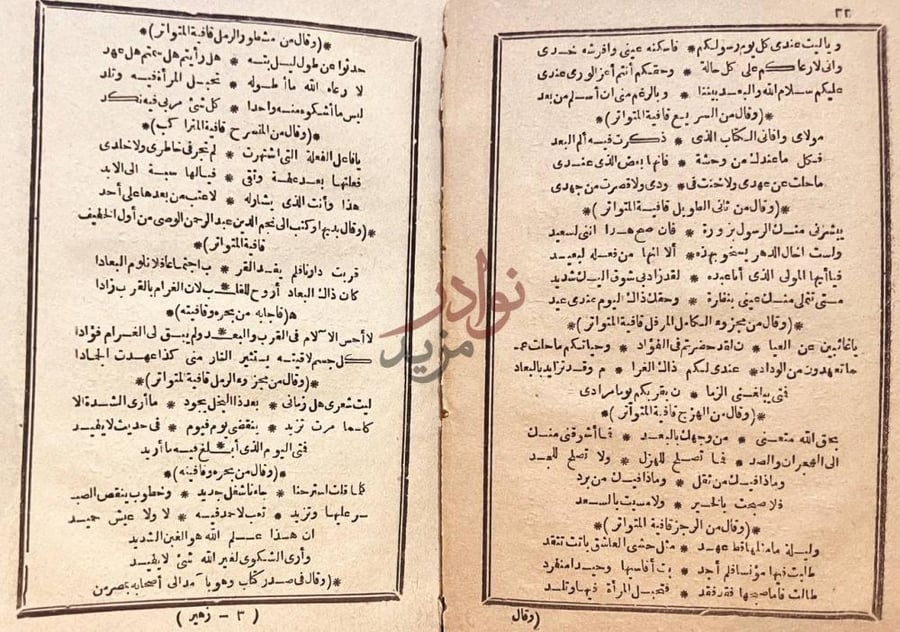 صفحة داخلية كتاب ديوان زهير