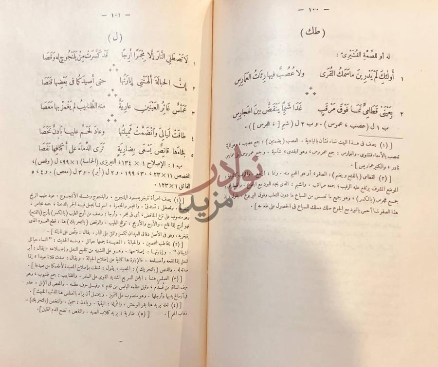 صفحة داخلية كتاب ديوان حميد بن ثور الهلالي طك ل