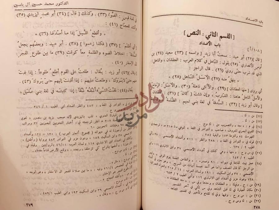صفحة داخلية كتاب باب الاضداد القسم الثاني
