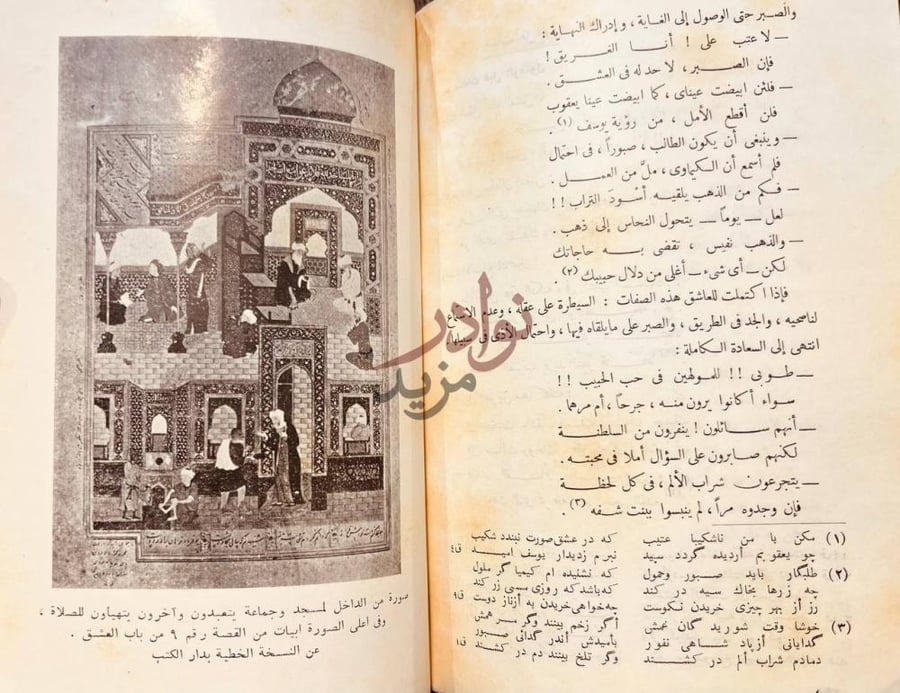 صفحة داخلية كتاب سعد الشيرازي شاعر الانسانية