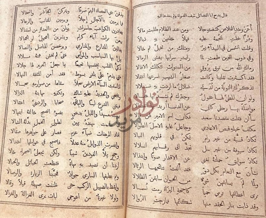 صفحة داخلية كتاب ديوان ابي العلاء المعري