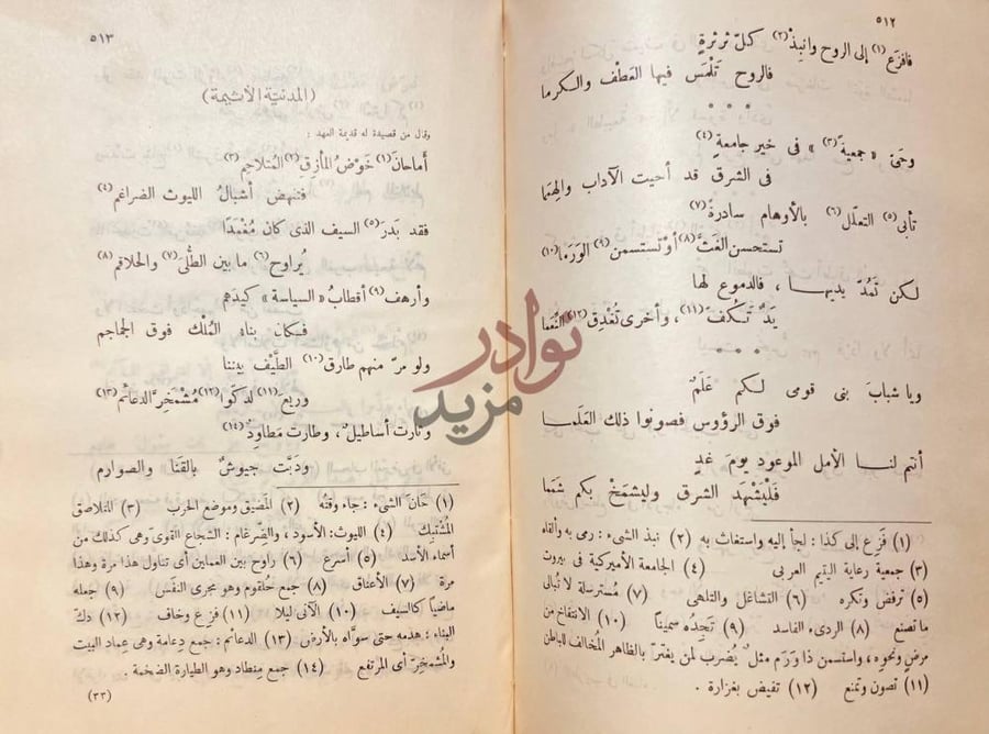 صفحة داخلية كتاب ديوان الخطيب المدينة الأشعة
