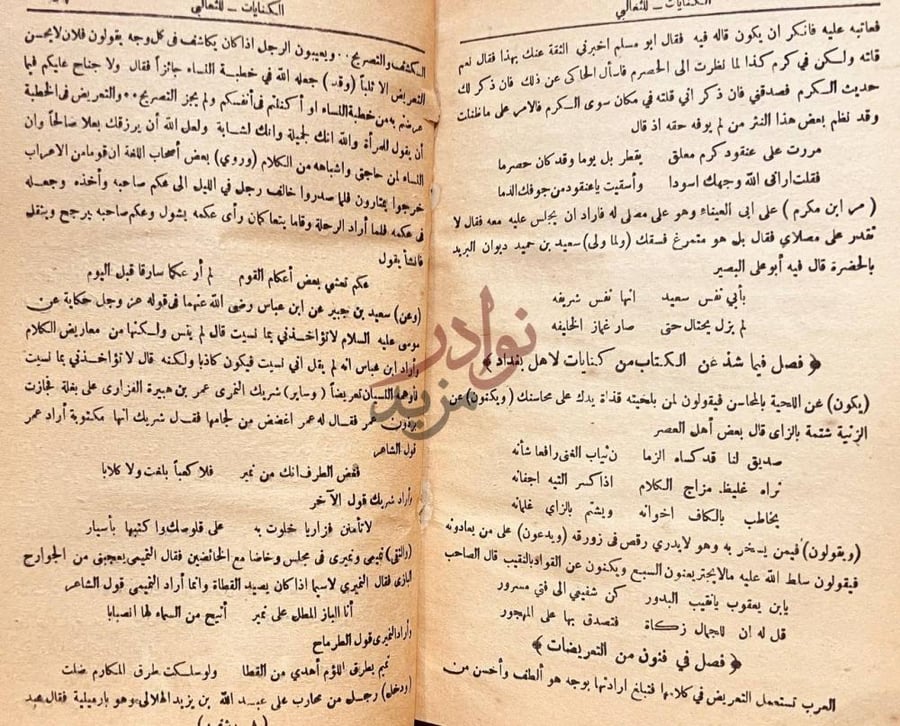 صفحة داخلية كتاب المنتخب من كنايات الادباء