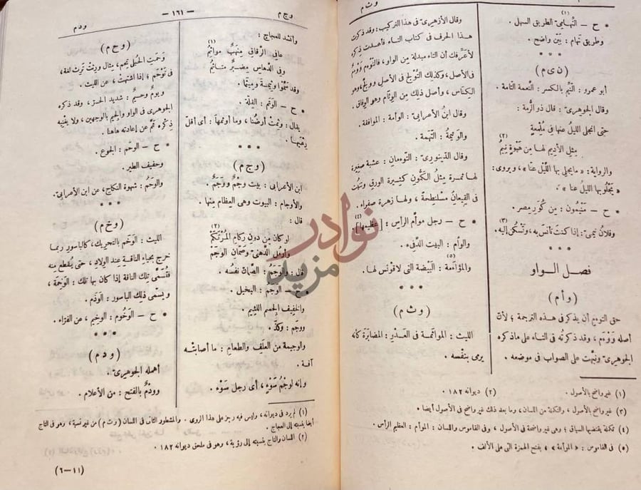 صفحة داخلية كتاب التكملة والذيل والصلة فصل الواو