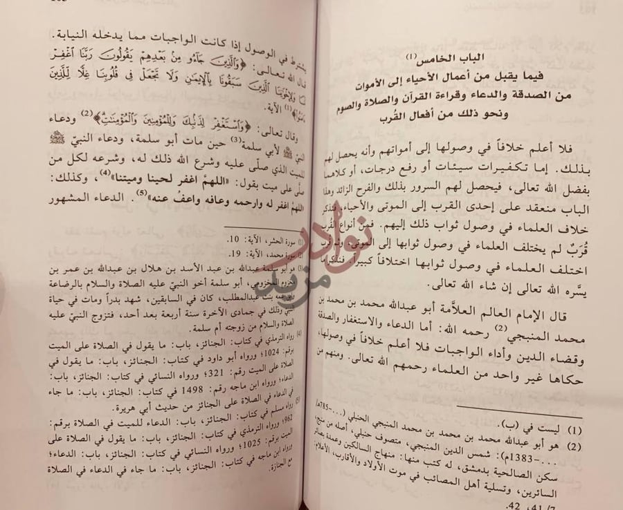 صفحة داخلية كتاب البرهان في فضل السلطان الباب الخامس فيما