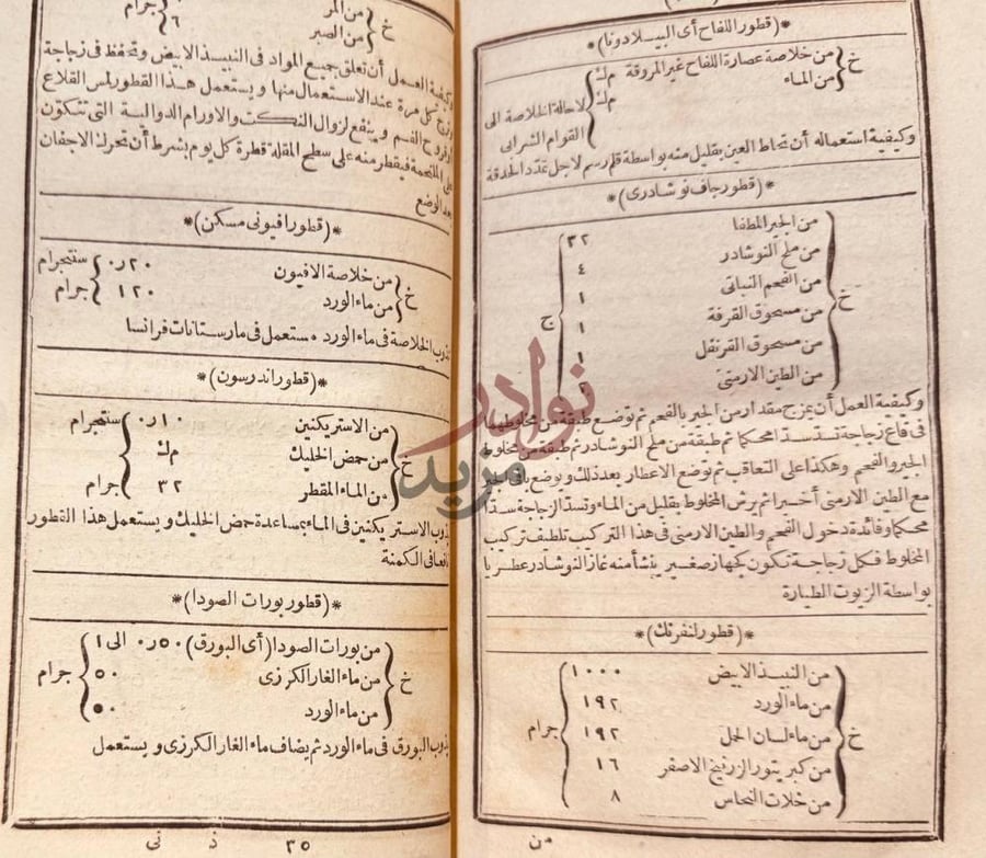 صفحة داخلية كتاب عمدة المتطببين في فن الصيدلة المعروف