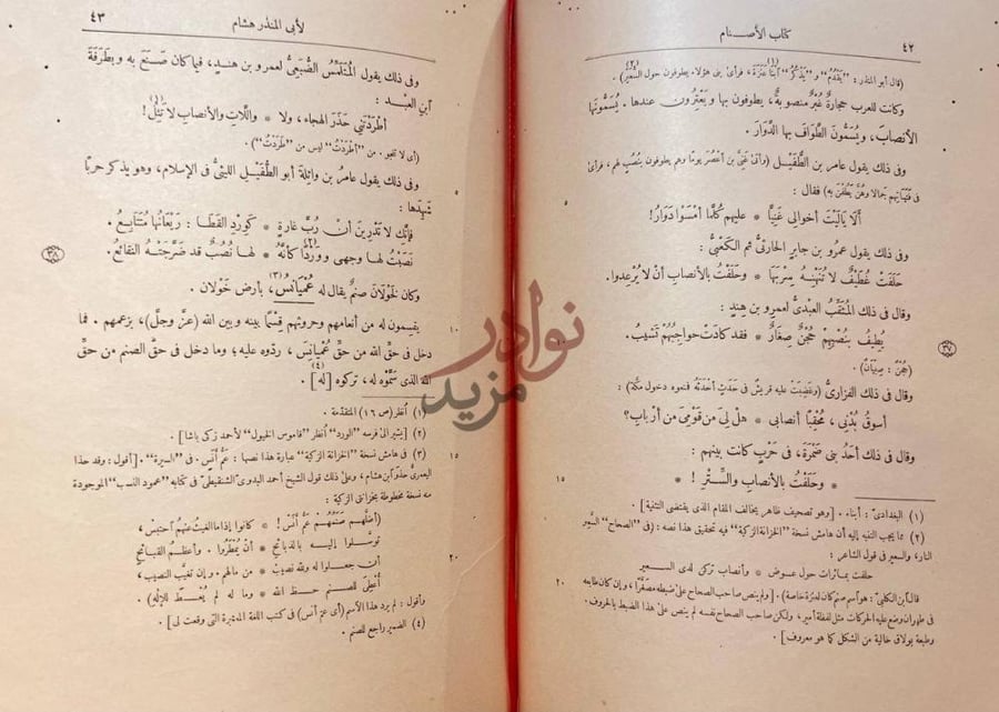 صفحة داخلية كتاب الاصنام