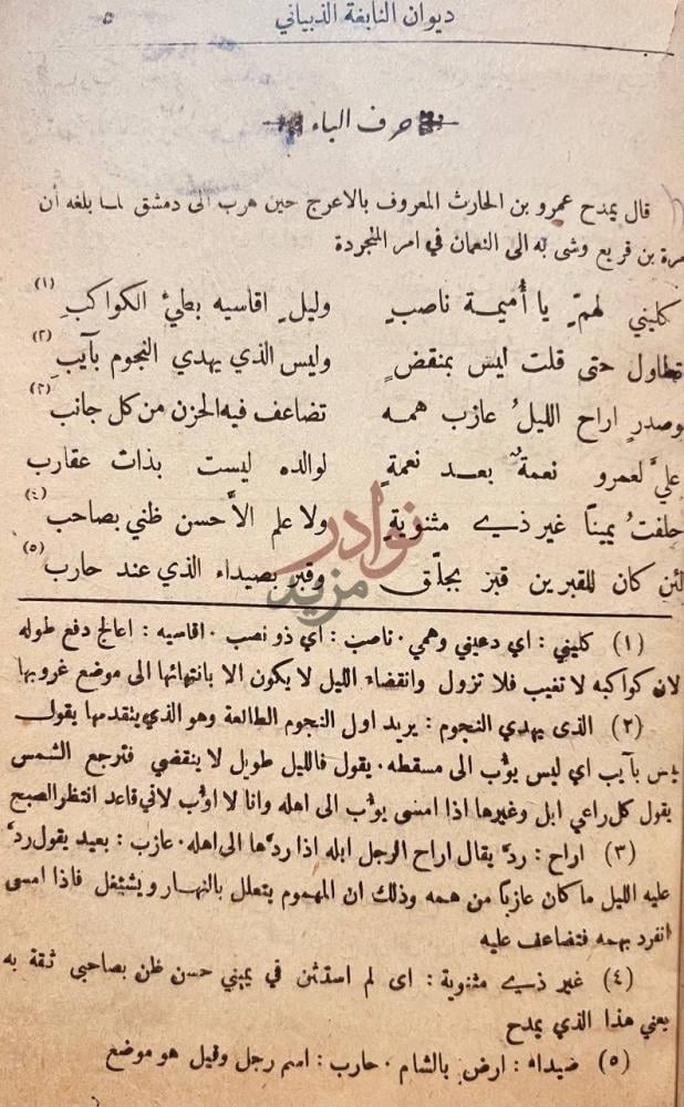 صفحة داخلية كتاب ديوان النابغة الذبيانى حرف الباء