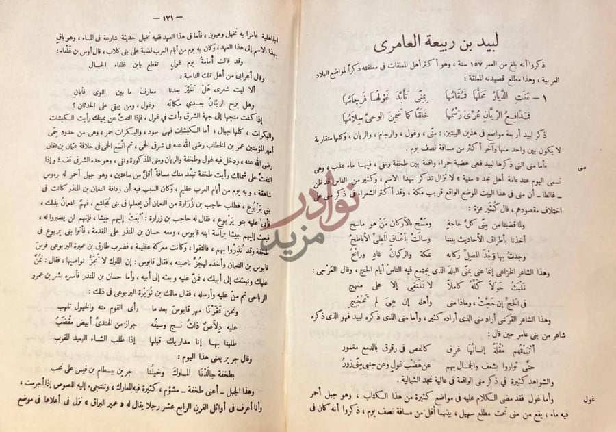صفحة داخلية كتاب صحيح الاخبار عما في بلاد العرب من الاثار
