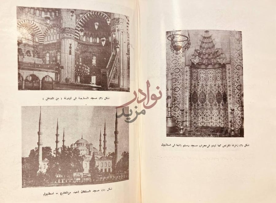 صفحة داخلية كتاب الفنون الزخرفية الاسلامية في العصر العثمانى