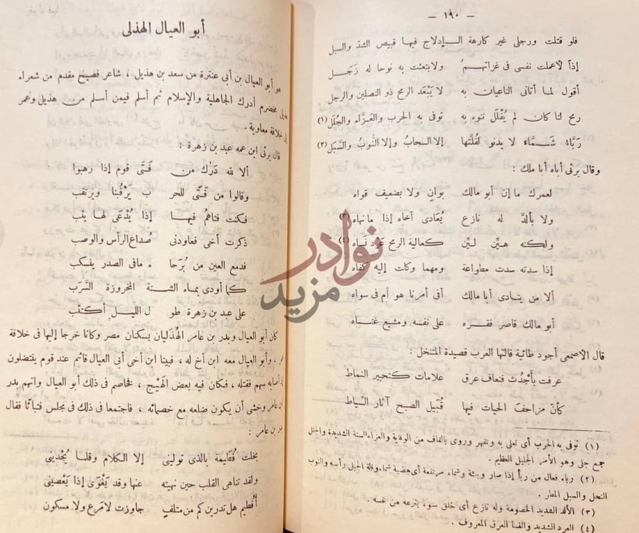 صفحة داخلية كتاب مهذب الاغاني أبو العيال الهذلي