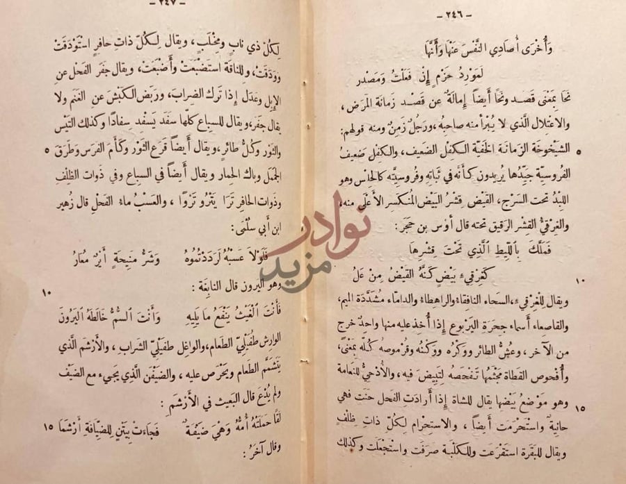 صفحة داخلية كتاب نظام الغريب و أ خ ر ى أ ص اد ي