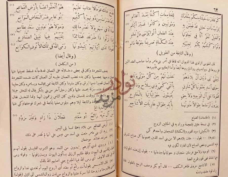 صفحة داخلية كتاب التوضيح والبيان عن شعر نابغة ذبيان