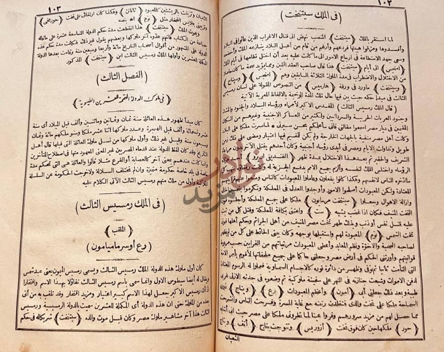 صفحة داخلية كتاب الكافي في تاريخ مصر القديم والحديث