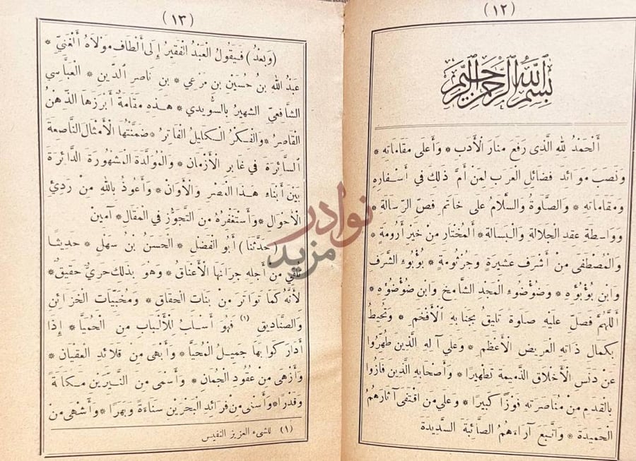 صفحة داخلية كتاب مقامة الامثال السائرة المتضمنة للأحوال