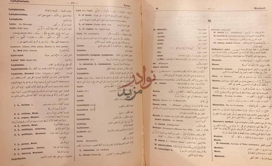 صفحة داخلية كتاب معجم انجليزي عربي في العلوم الطبية والطبيعية