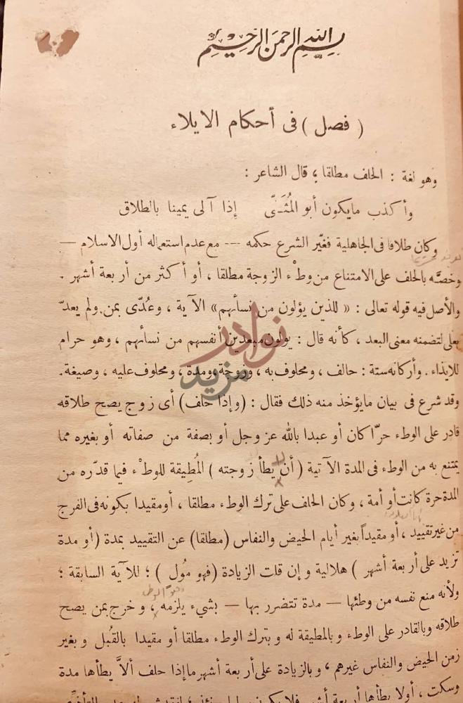 صفحة داخلية كتاب النهاية ولي الدين البصير الجزء الثالث وهو