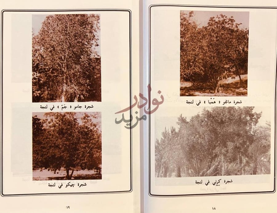 صفحة داخلية كتاب تاريخ لنجة