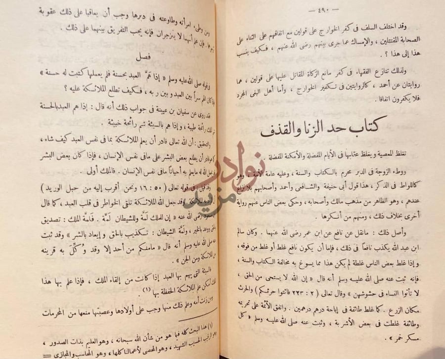 صفحة داخلية كتاب مختصر الفتاوى المصرية كتاب حد الزنا والقذف