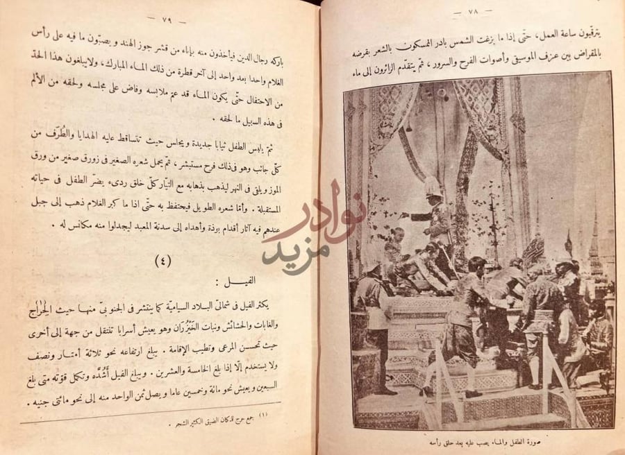 صفحة داخلية كتاب المطالعة للمدارس الثانوية الفيل
