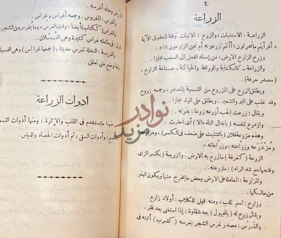 صفحة داخلية كتاب مجمع البحرين الزراعة