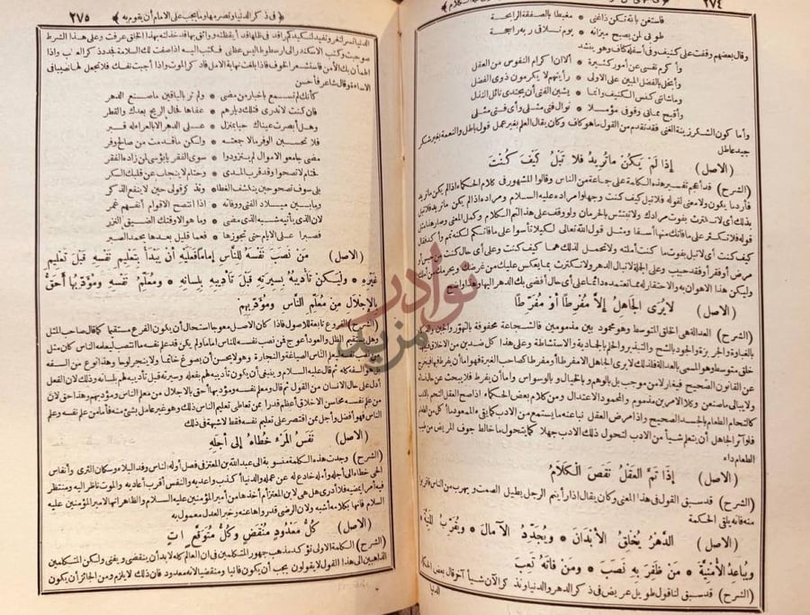 صفحة داخلية كتاب نهج البلاغة فإن لم تكن كذبا