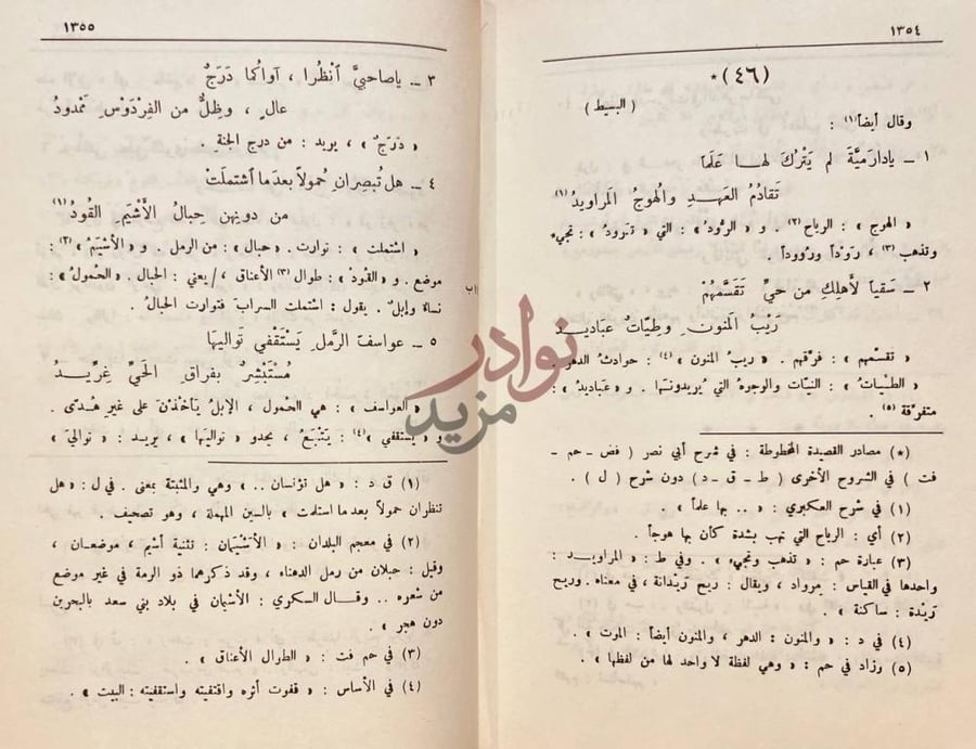 صفحة داخلية كتاب ديوان ذي الرمة