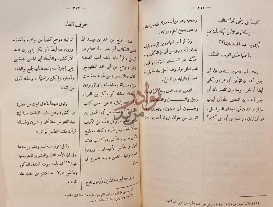 صفحة داخلية كتاب المعجم حرف الفاء