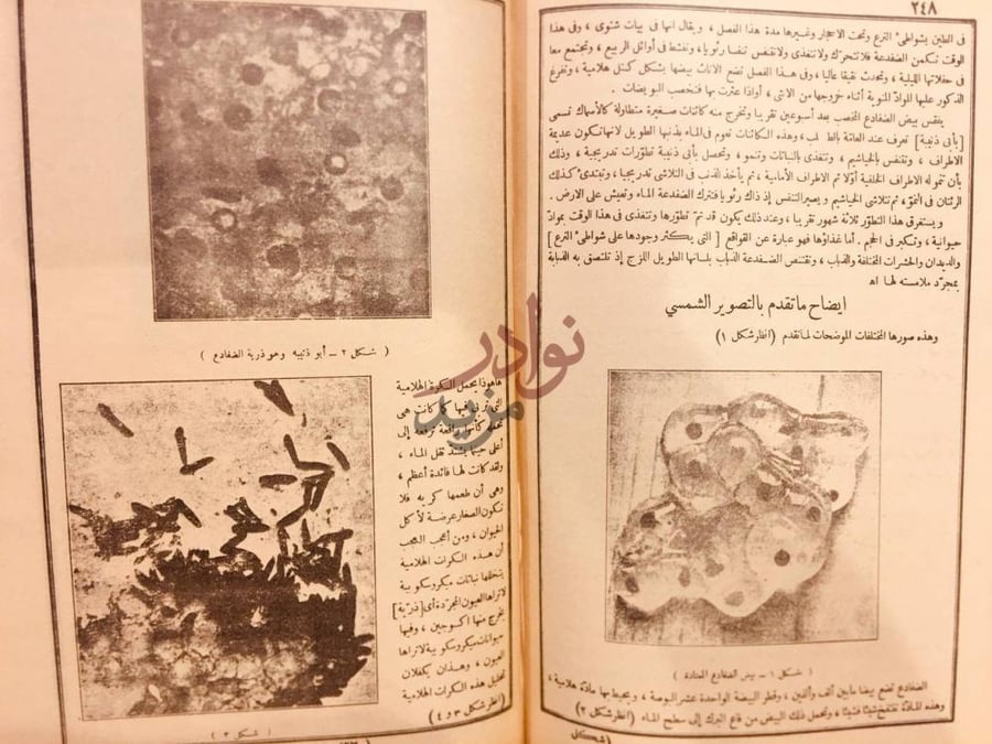 صفحة داخلية كتاب الجواهر في تفسير القران الكريم