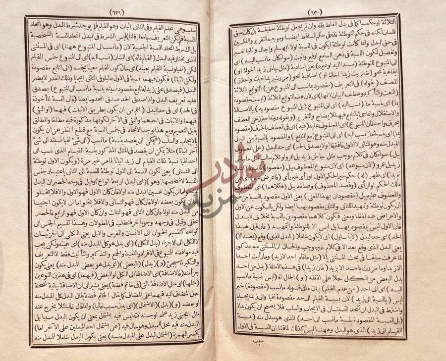 صفحة داخلية كتاب شرح الجامي للكافيه