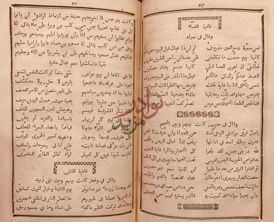 صفحة داخلية كتاب منية النفس في اشعار عنتر عبس قافية الفاء