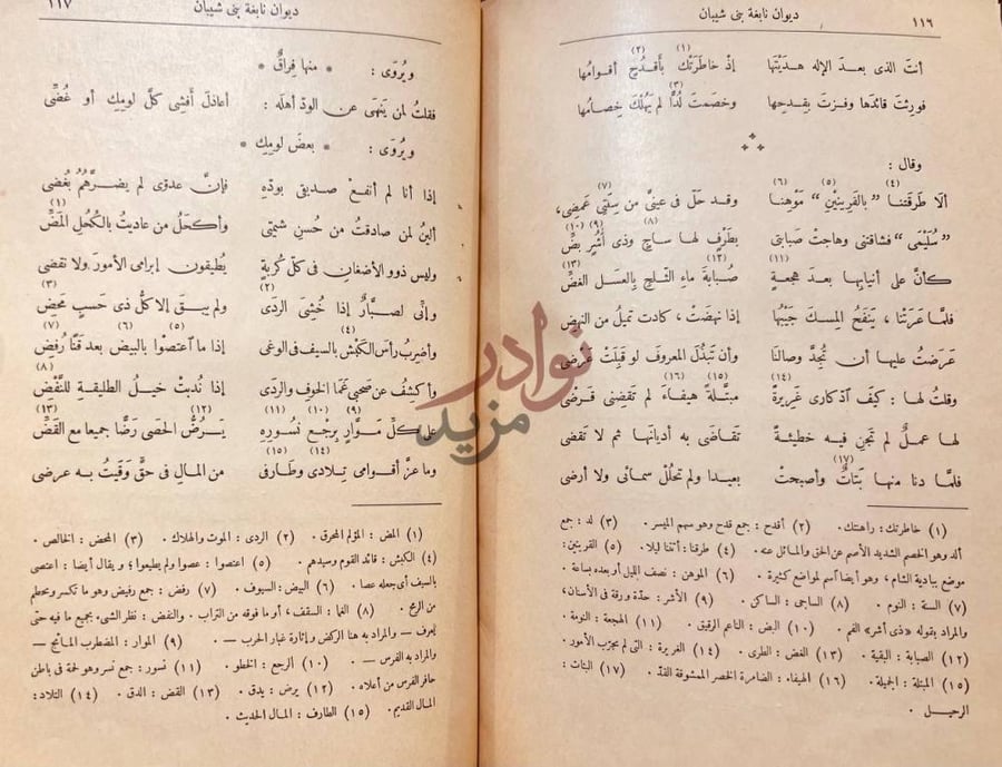 صفحة داخلية كتاب ديوان نابغة بني شيباني ديوان نابغة بن