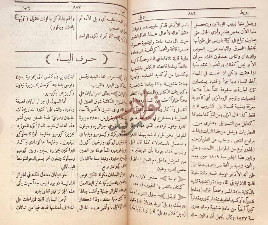 صفحة داخلية كتاب دائرة المعارف حرف الياء