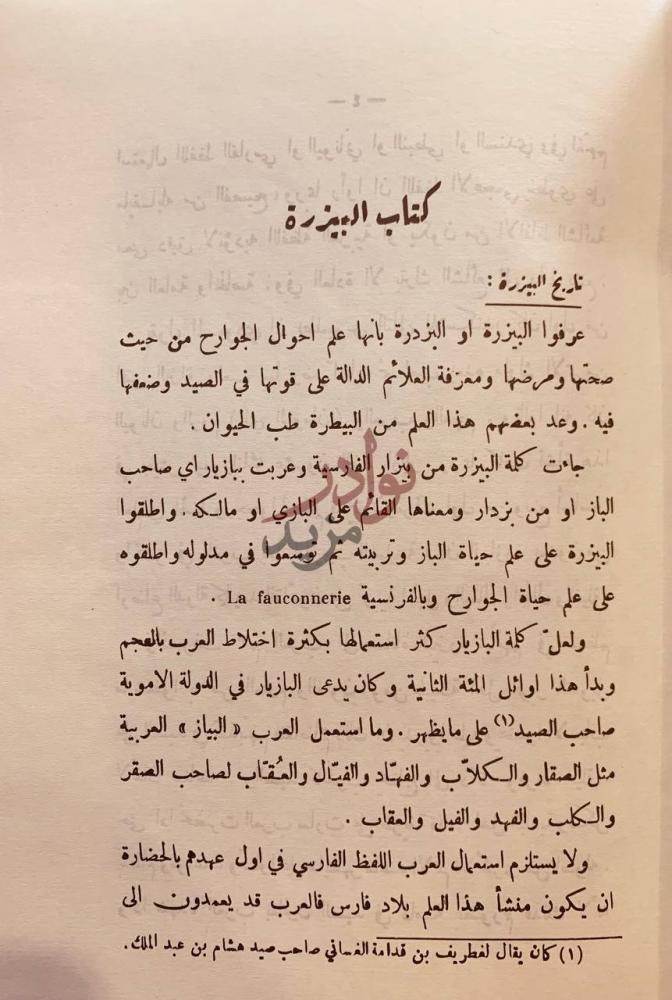 تمهيد كتاب البيزرة او البزدرة تاريخ البزرة