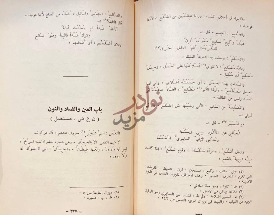 صفحة داخلية كتاب العين اول معجم في اللغة العربية