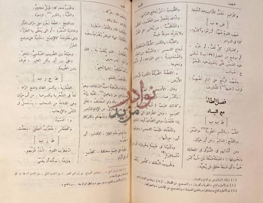 صفحة داخلية كتاب التكملة والذيل والصلة لمافات صاحب القاموس