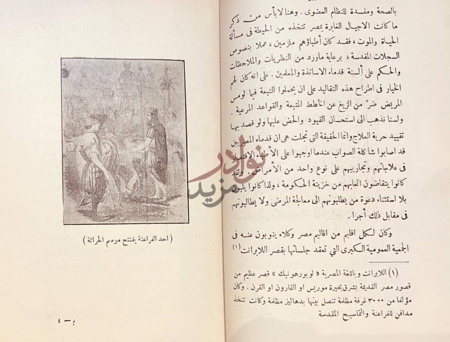 صفحة داخلية كتاب مصر في القرن التاسع عشر عصر محمدعلي