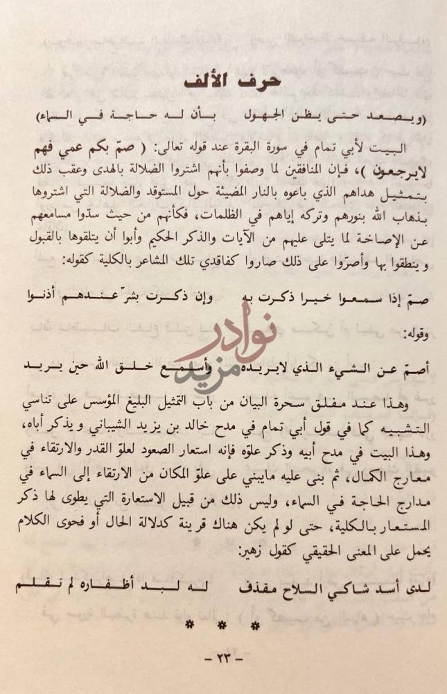 صفحة داخلية كتاب تنزيل الايات على الشواهد من الابيات