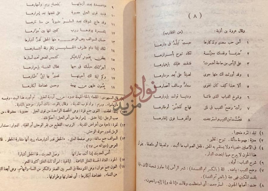صفحة داخلية كتاب عروة بن اذينة شعره وحياته