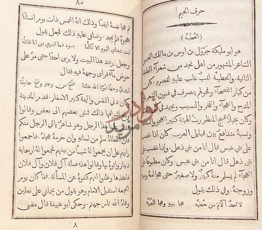 صفحة داخلية كتاب روضة الادب في طبقات شعراء العرب حرف الجيم