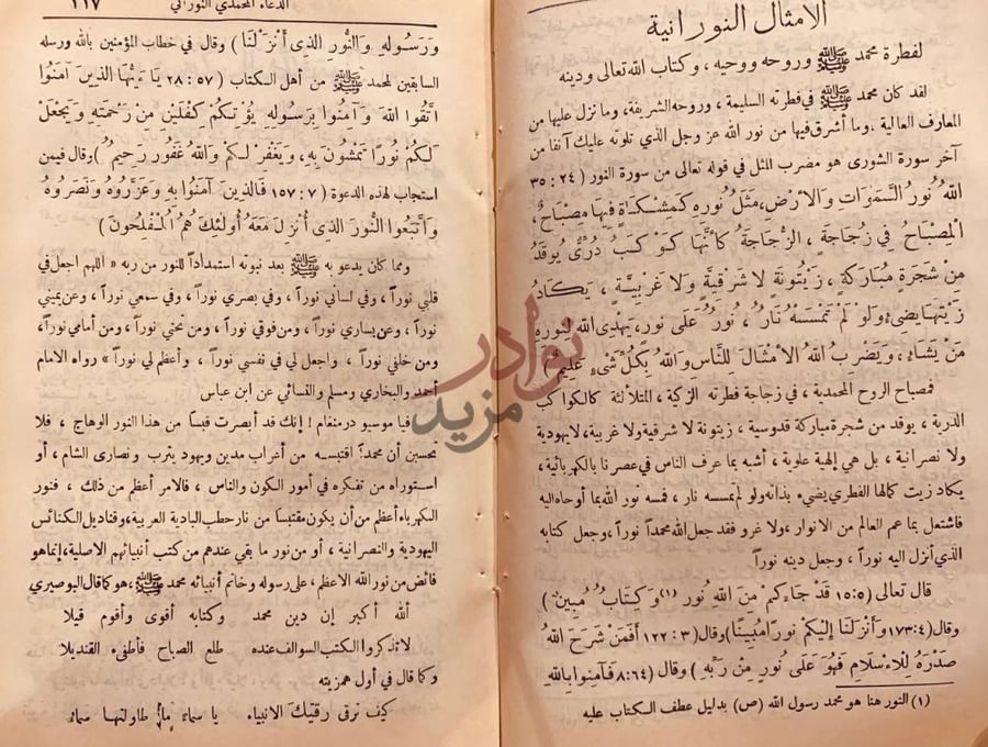 صفحة داخلية كتاب الوحي المحمدي الامثال النورانية
