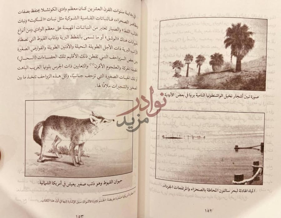 صفحة داخلية كتاب نخلة عربية في صحراء كالفورنيا قصة نقل النخلة
