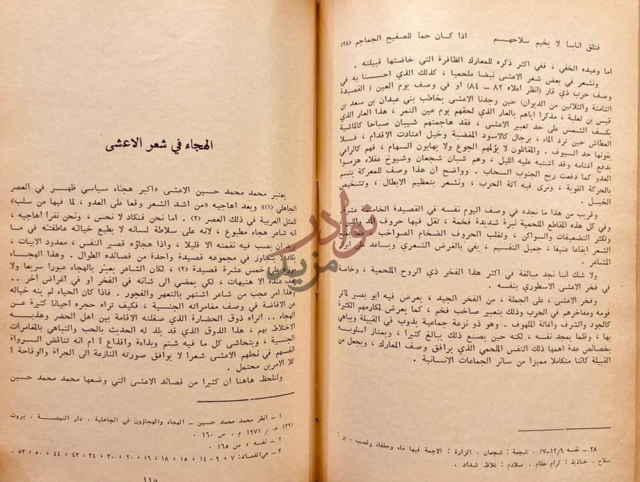صفحة داخلية كتاب صناجة العرب الاعشى الكبير ميمون بن قيس
